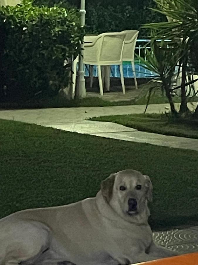Belka Golf Residence Exclusive Apt Poolside 贝莱克 外观 照片